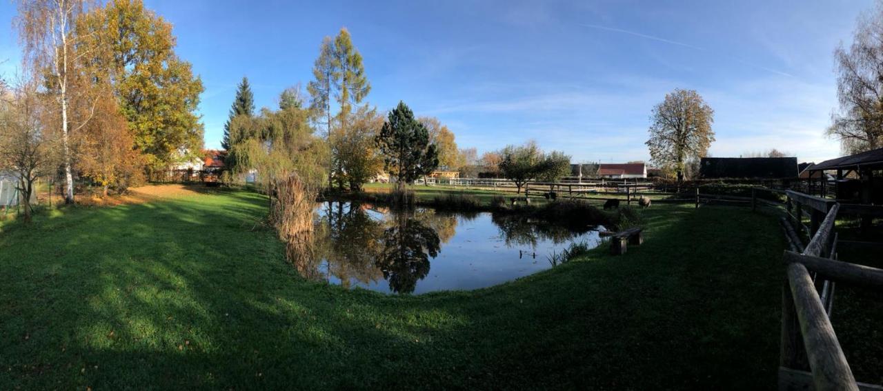 Apartmány Kojákovice - Třeboň Jílovice Esterno foto